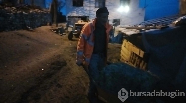 Ağıla giren komşunun koyunlara yaptığı güvenlik kamerası ile ortaya çıktı