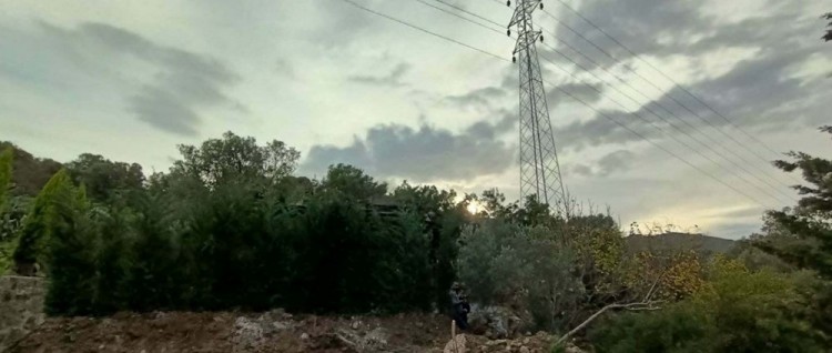 Bodrum'da kaçak inşaata ağaç dallarıyla kamuflaj
