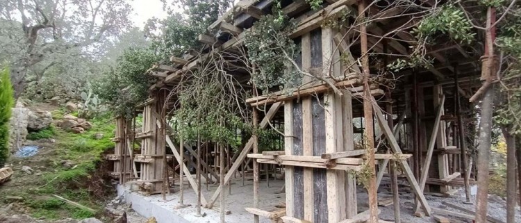 Bodrum'da kaçak inşaata ağaç dallarıyla kamuflaj
