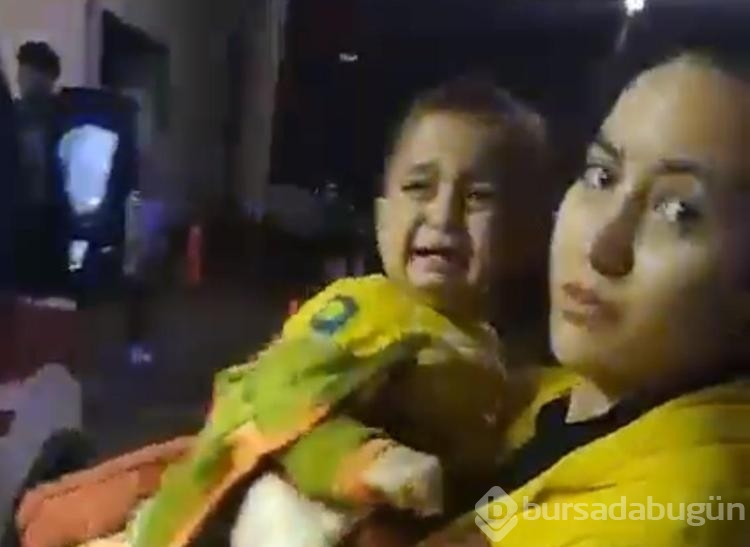 Balon balığı yiyen 7 kişiden 1'i entübe edildi, diğerleri tedavi altında
