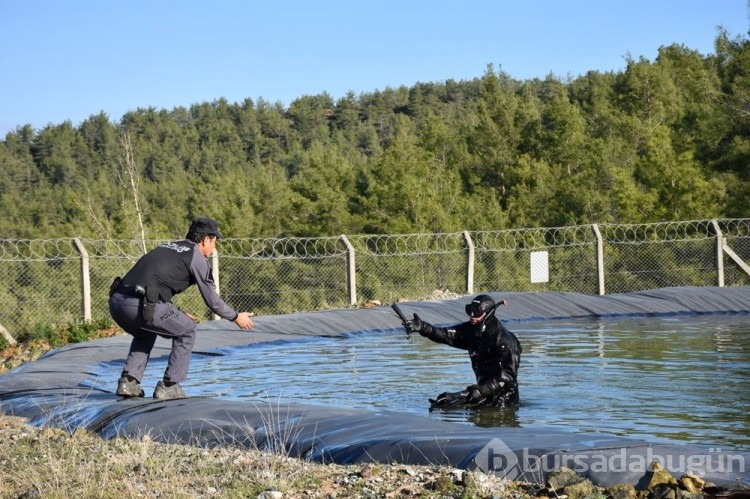 Mantar toplamaya çıkan adamdan 4 gündür haber yok
