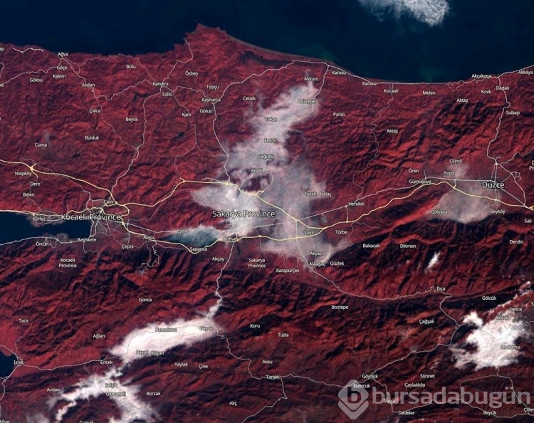 Kuzey Marmara Otoyolu'ndaki katliam gibi kazada sisin uydu sistemine fotoğrafı yansıdı

