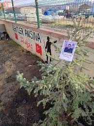 Çorum'da lise öğrencileri 12 şehit için 12 fidan dikti