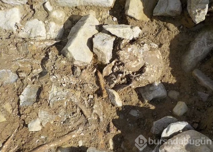 İngiltere'de ''yüksek statülü'' kişilere ait orta çağ mezarlığı keşfedildi