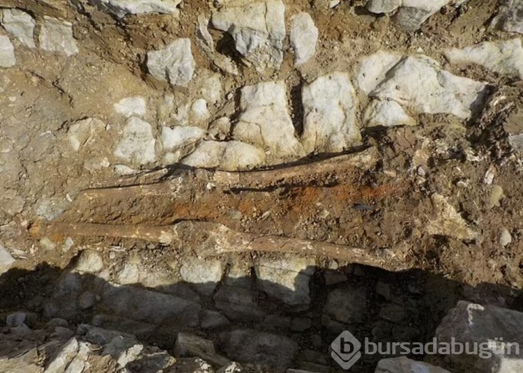 İngiltere'de ''yüksek statülü'' kişilere ait orta çağ mezarlığı keşfedildi
