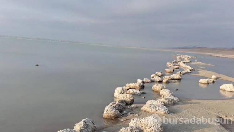 Bitlis'te suyun çekilmesiyle vatandaşlar kara kara düşünmeye başladı