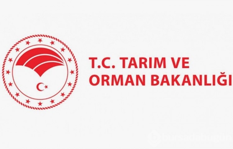 Tarım ve Orman Bakanlığı 7 bin 158 personel alımı yapacak