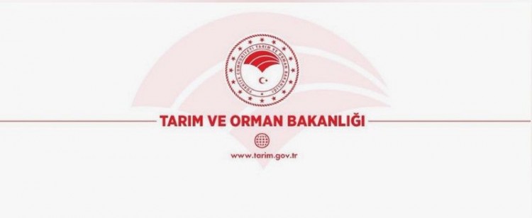 Tarım ve Orman Bakanlığı 7 bin 158 personel alımı yapacak