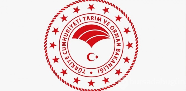 Tarım ve Orman Bakanlığı 7 bin 158 personel alımı yapacak