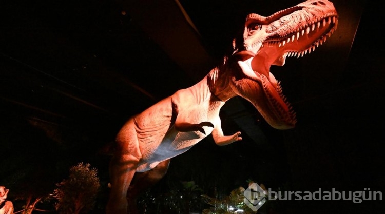 Brüksel'de devam eden Dinozor sergisi yoğun talep görüyor
