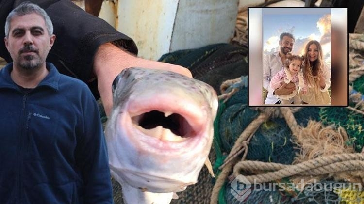 Balon balığının en zehirlisini yemişler
