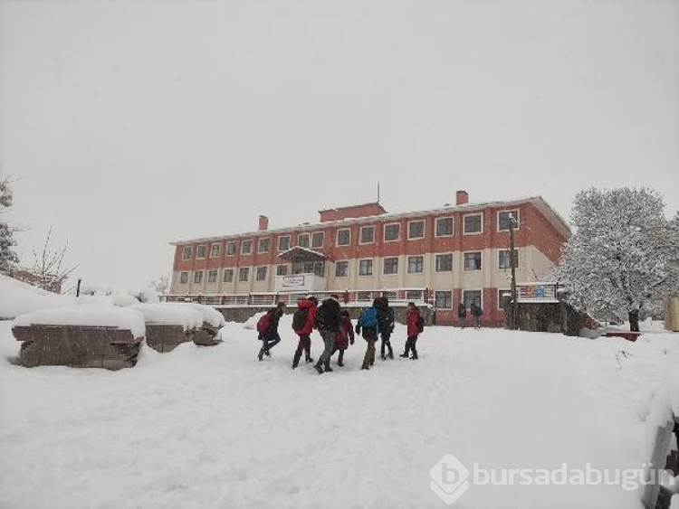 Karlıova'da kar etkili oldu
