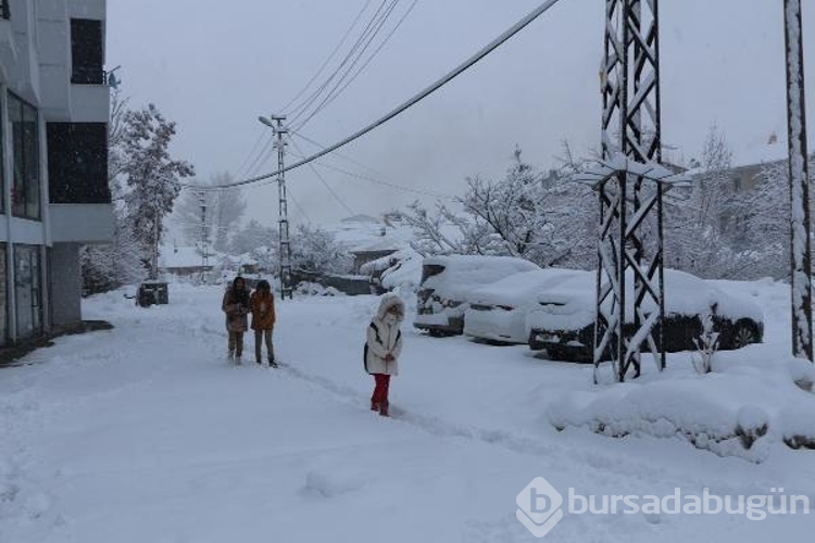 Karlıova'da kar etkili oldu

