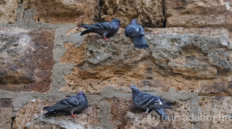 Hadrian Kapısı'nda çalışmalar başlıyor
