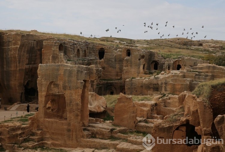Dara Antik Kenti'nde keşfedilen tarihi çarşı gün yüzüne çıkarılıyor
