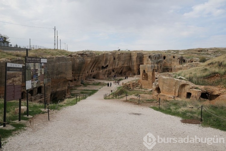 Dara Antik Kenti'nde keşfedilen tarihi çarşı gün yüzüne çıkarılıyor
