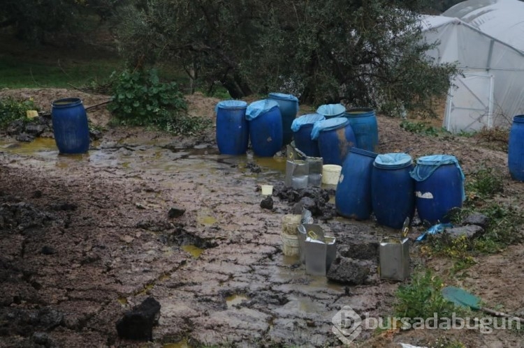 Tonlarca litre zeytinyağı araziye yayıldı