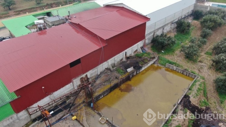 Tonlarca litre zeytinyağı araziye yayıldı