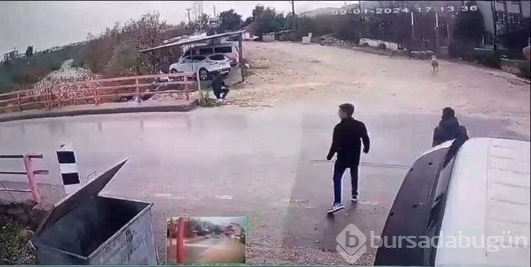 Yolda yürürken koçun saldırısına uğradı

