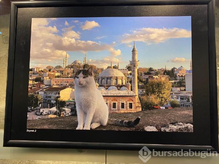 'Gençlerin gözünden ışık, renk, doku ve İstanbul' sergisi sanatseverlerle buluştu
