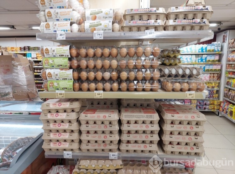Tavuklar meğer altın yumurtluyormuş! Yumurta fiyatları hayretlere düşürdü