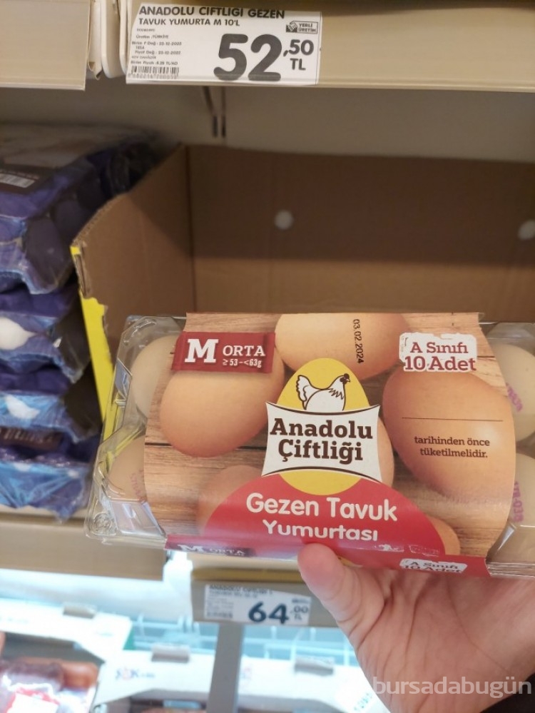 Tavuklar meğer altın yumurtluyormuş! Yumurta fiyatları hayretlere düşürdü