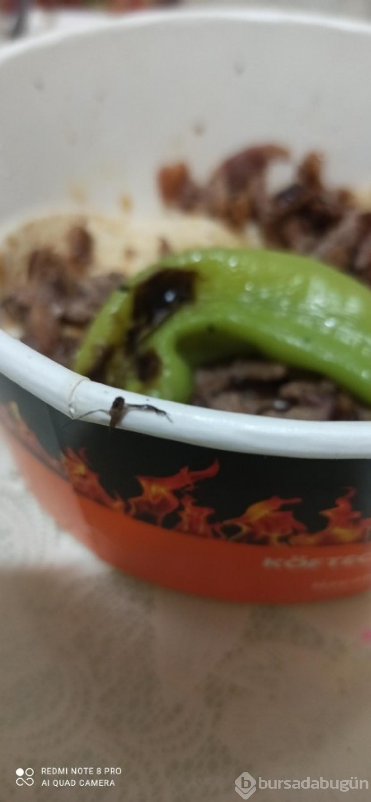 Köfteci Yusuf için şikayet var! Et dönerden çıkan böcek, pişmemiş köfte...