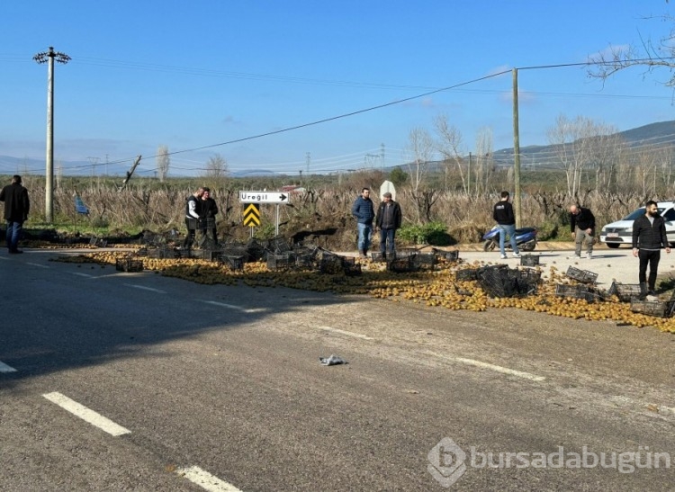 Bursa'da kamyonet devrildi, üzerindeki kiviler yola saçıldı!