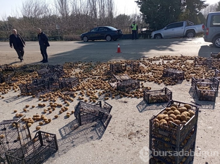 Bursa'da kamyonet devrildi, üzerindeki kiviler yola saçıldı!