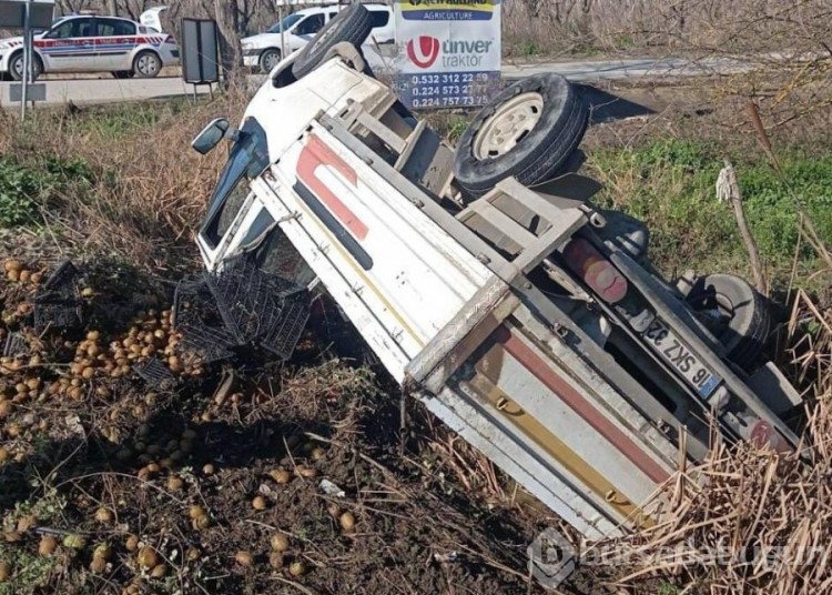 Bursa'da kamyonet devrildi, üzerindeki kiviler yola saçıldı!