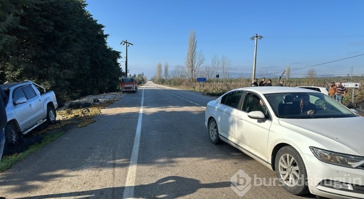 Bursa'da kamyonet devrildi, üzerindeki kiviler yola saçıldı!