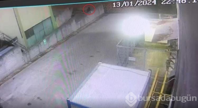 Çalıştığı fabrikadan yaklaşık 2 milyon liralık döviz çaldı