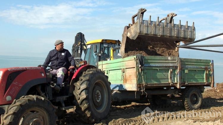Burhaniye'de plaj, selle taşınan dal parçaları ve çöplerden temizleniyor
