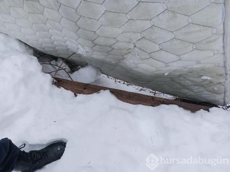 Şambrelle kayarken yüksekten düşen kadın öldü