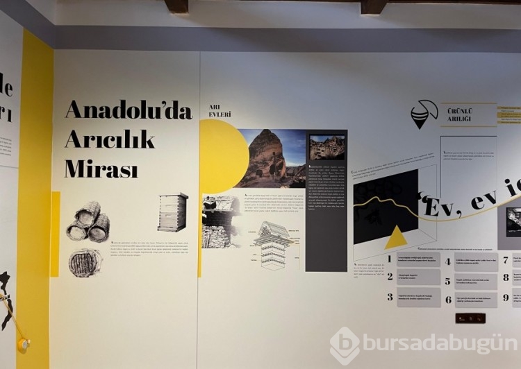 Nilüfer Belediyesi, Ürünlü'ye Arı Evi kazandırdı