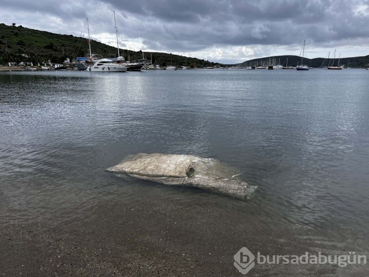 Bodrum'da sağanak sonrası sahiller çöple doldu
