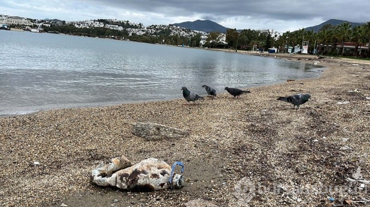 Bodrum'da sağanak sonrası sahiller çöple doldu
