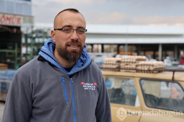 Tavukçulukta yeni boyut