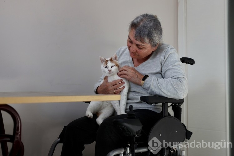 Düzce'de bedensel engelli emekli öğretmen ile gözleri görmeyen kedisi "can yoldaşı" oldu