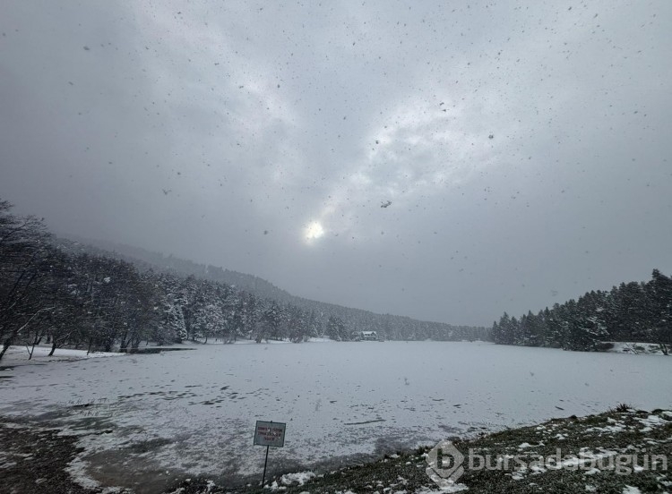 Bolu'da kar yağışının tadını şambrellerle kayarak çıkardılar