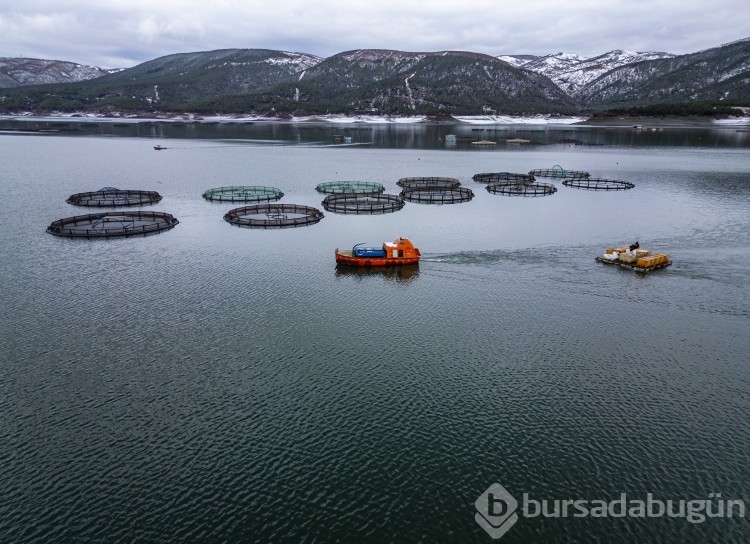 Tokat, dünyanın en büyük pazarlarına somon ihraç ediyor