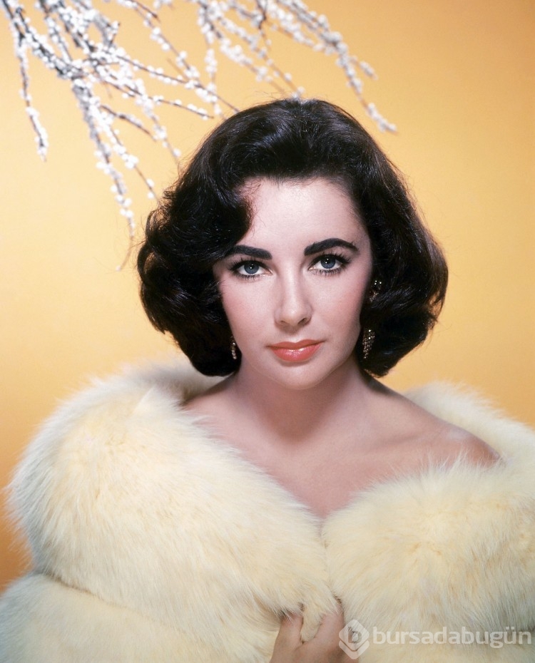 Elizabeth Taylor'ın hayatı belgesel oluyor