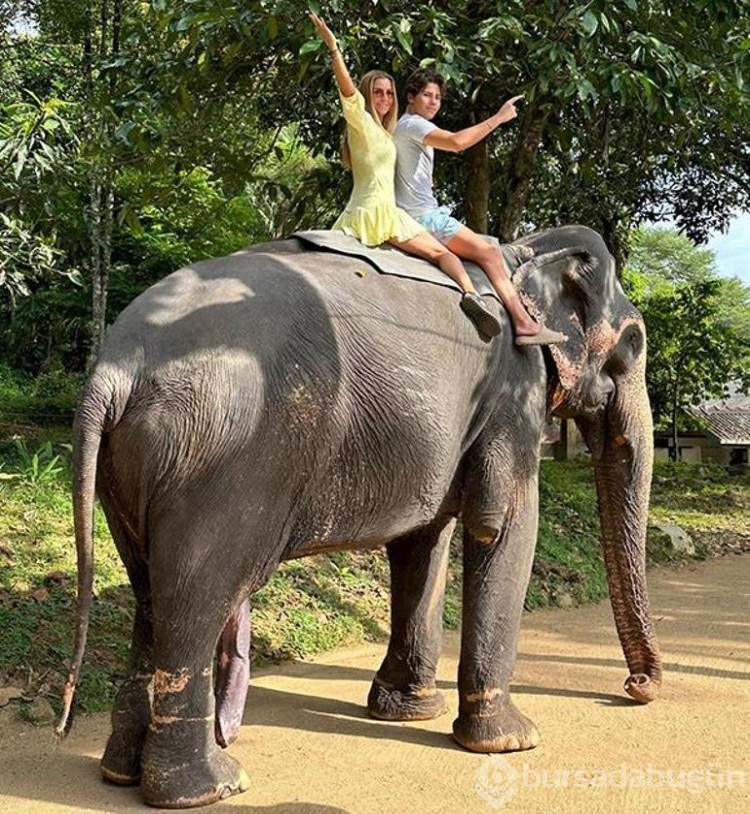 Ivana Sert, Sri Lanka'da fil yıkadı