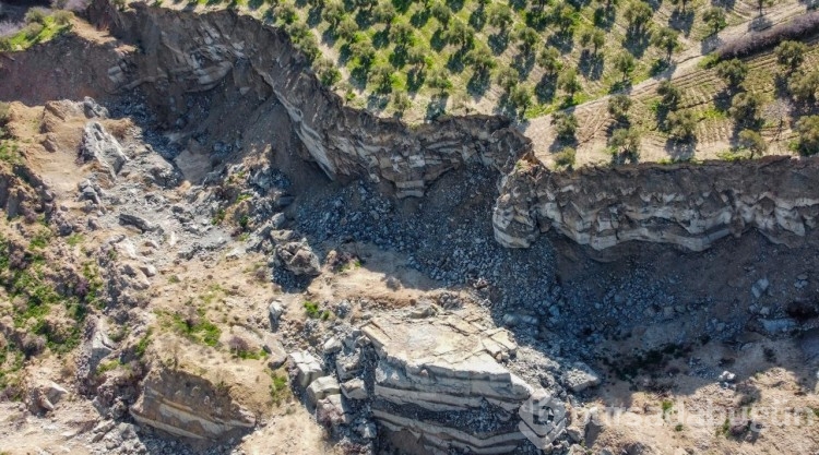 Depremde 400 metrelik yarık oluşmuştu! Hatay'da o zeytinlik depremin simgelerinden oldu