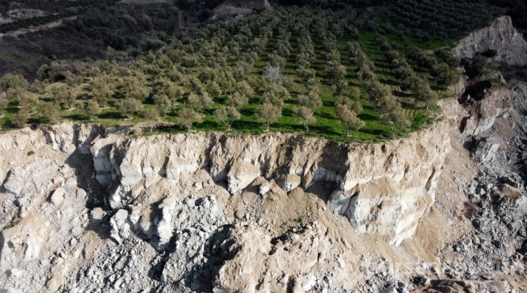 Depremde 400 metrelik yarık oluşmuştu! Hatay'da o zeytinlik depremin simgelerinden oldu