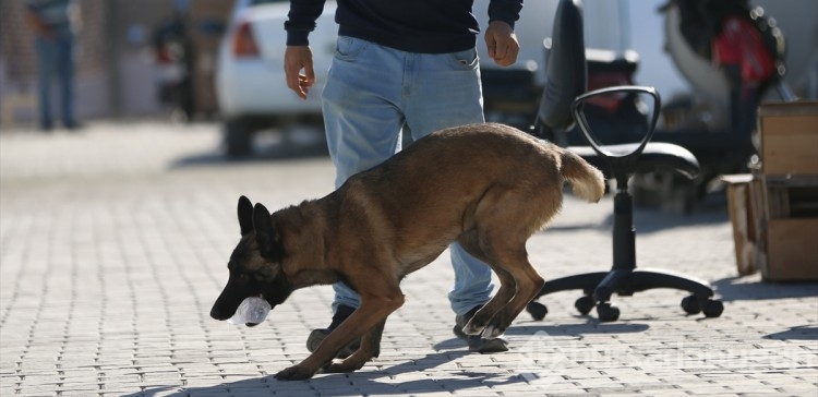 Depremde sahibini uyandıran Şila konteyner kentteki çocukların neşesi