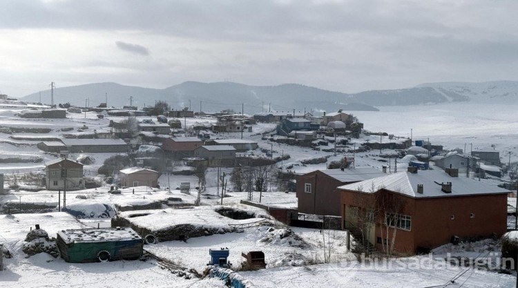 Şehrinizde kilometrekareye kaç insan düşüyor?