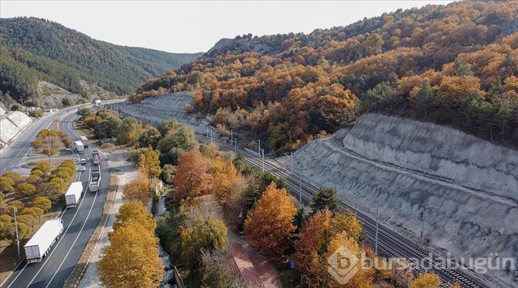 Türkiye'nin en yaşlı ve en genç illeri açıklandı