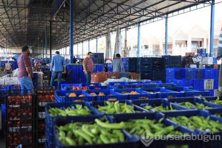 Antalya Toptancı Hali'nde yüzde 36'lık 'kayıt dışı' kaybı
