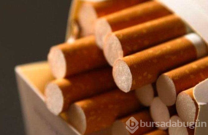18 yaşından önce sigara kullanımı beyine kalıcı zarar veriyor